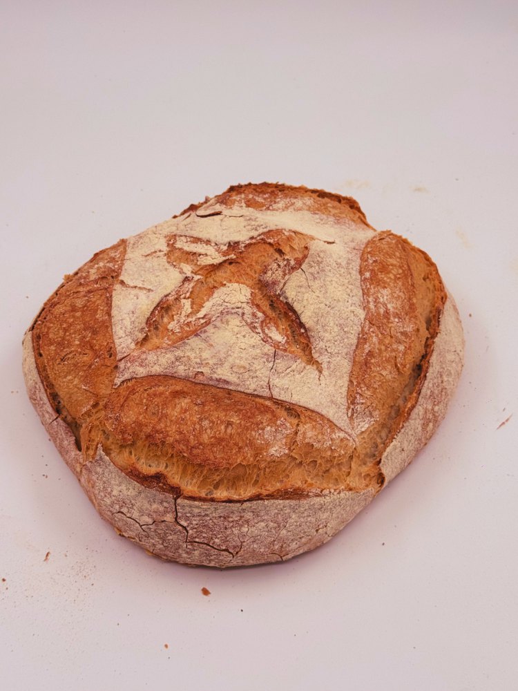 Pane Pugliese Rotondo