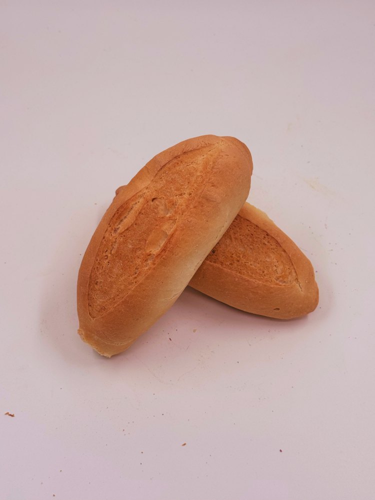 Panini